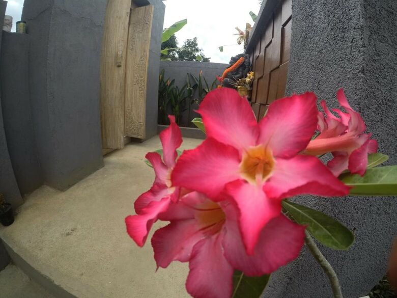 Hotel Imeme Guest House