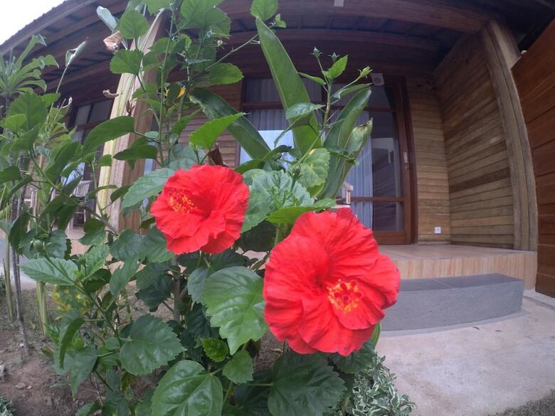 Hotel Imeme Guest House