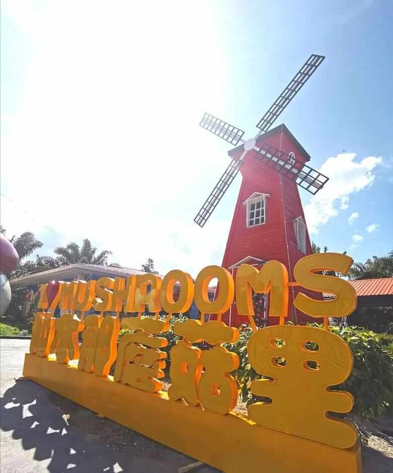 Hotel Mushrooms Inn