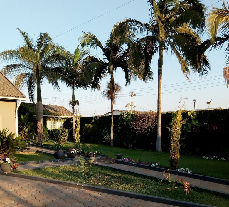 Hotel Sago Palm Executive Lodge