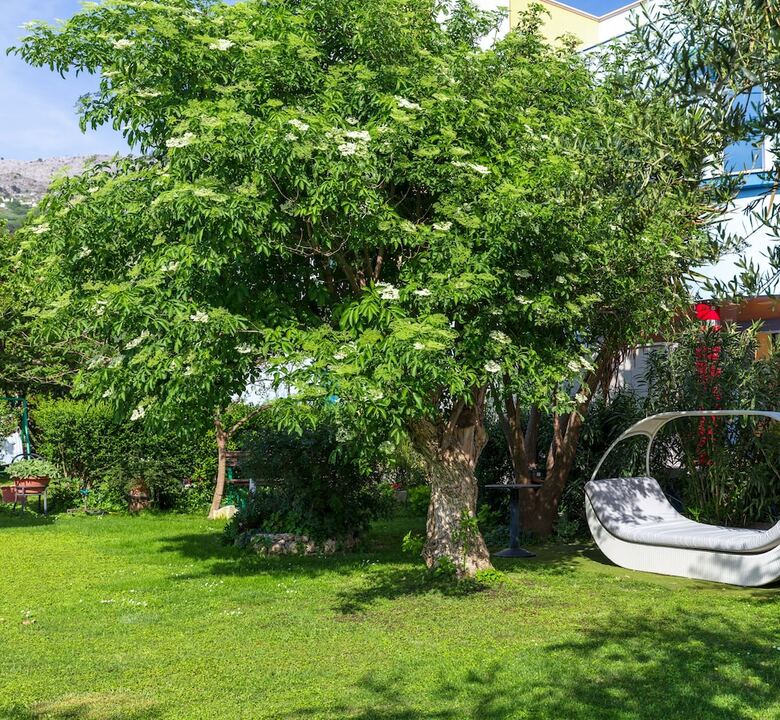 Hotel Villa Pitomcia  - Adults Only