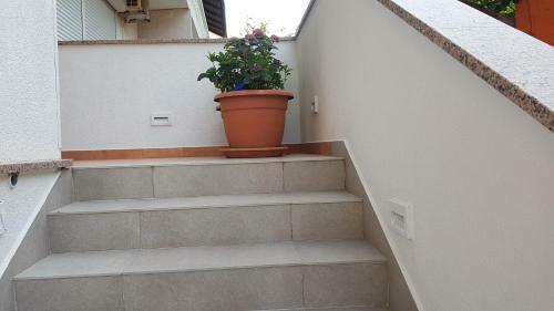 Hostal Guest House Galeb