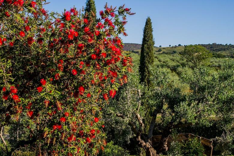 Agroturismo Agriturismo Echi D'etruria