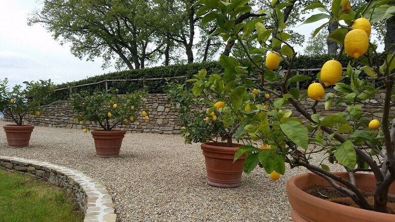 Apartamento Romantic Nest On Tuscany Hills