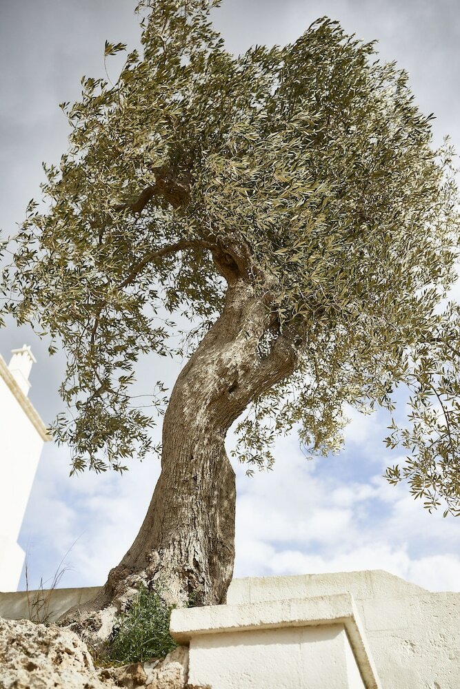 Agroturismo Masseria Calderisi