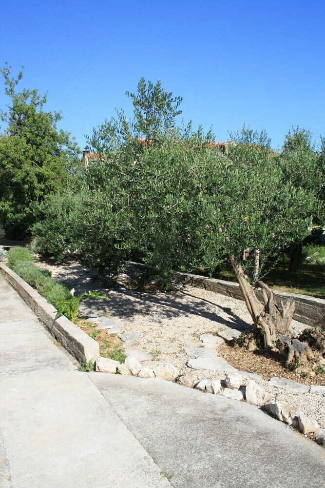 Apartments Anita Vodice