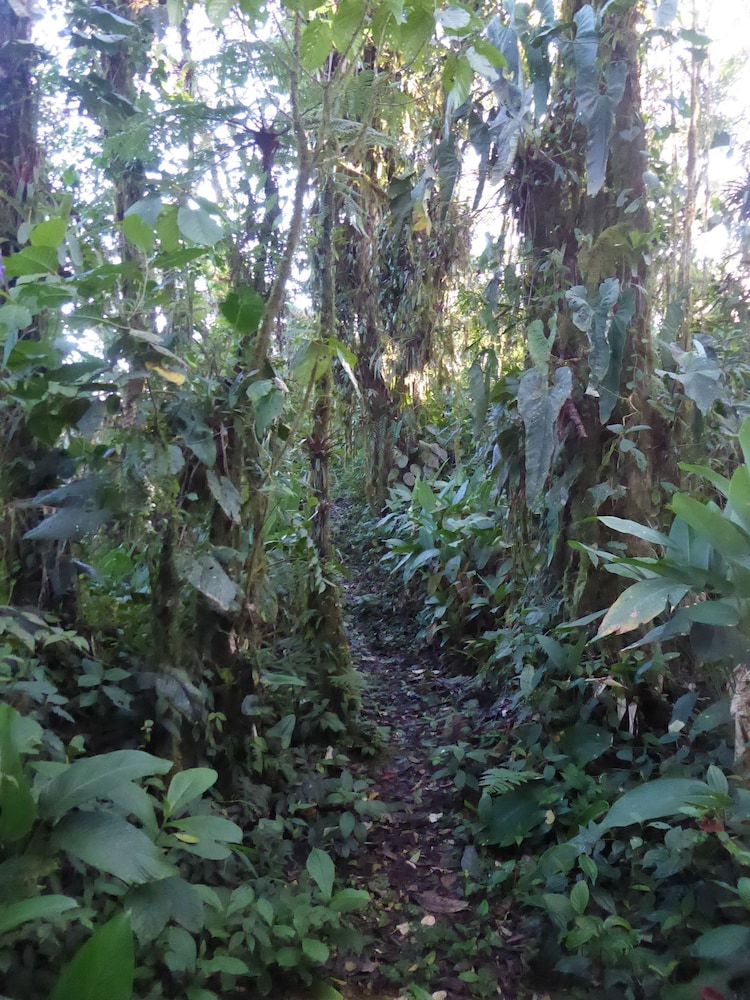 Posada Santa Lucia Ecolodge