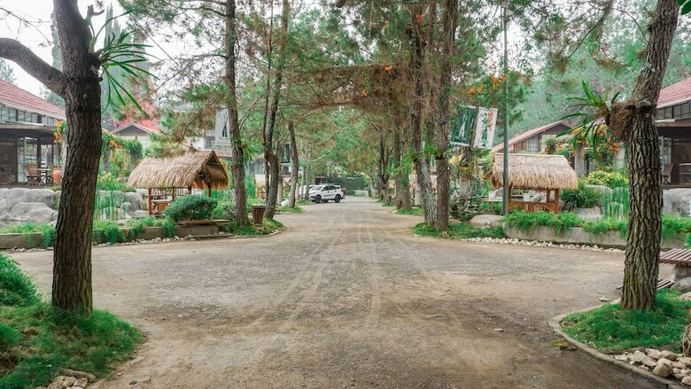 Bed & Breakfast Vila Air Natural Resort