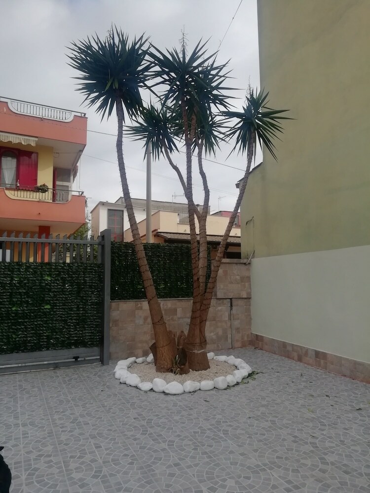 Bed & Breakfast Fitta Chambre Mav�