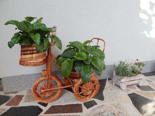 Apartments & Rooms Marinka