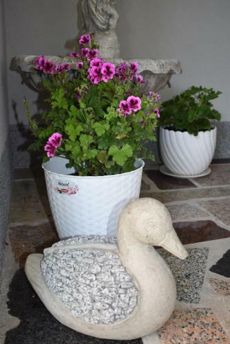 Apartments & Rooms Marinka