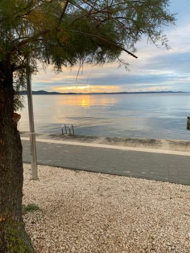 Apartments Vitez