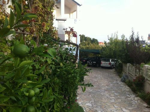 Hostal Guest House Ana