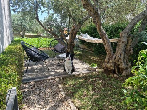 Apartamentos Studio Marina Zadar