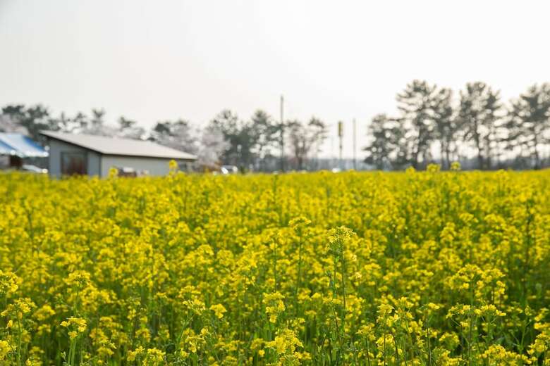 Hotel Sun Rural Ogata