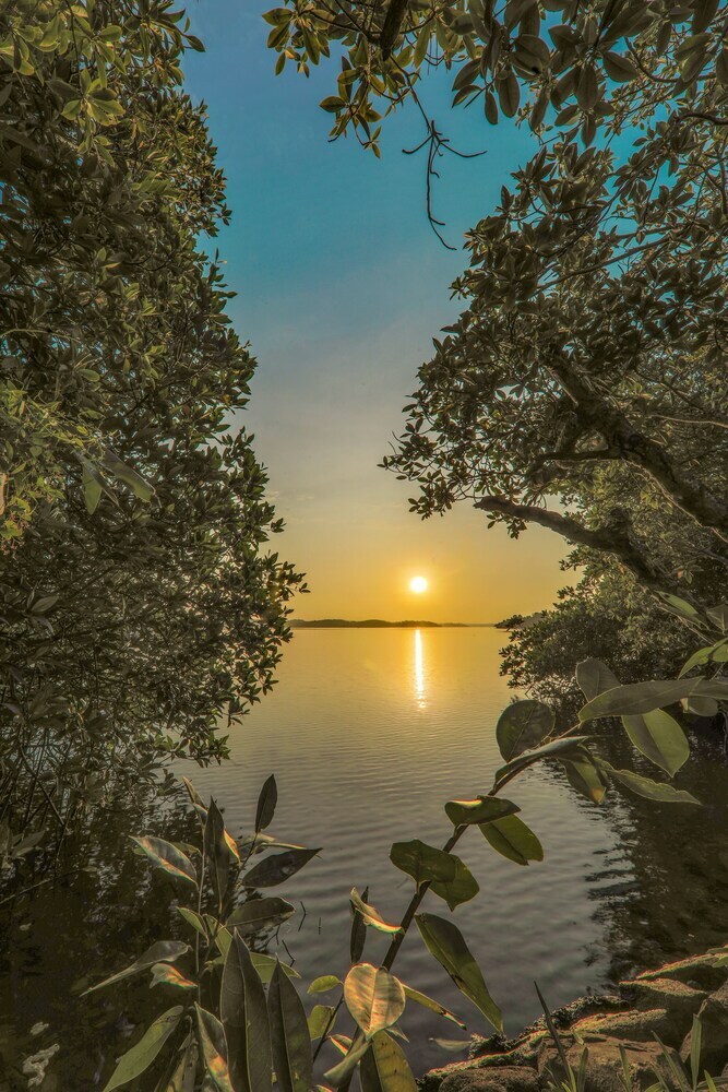 Chari Lake Hotel