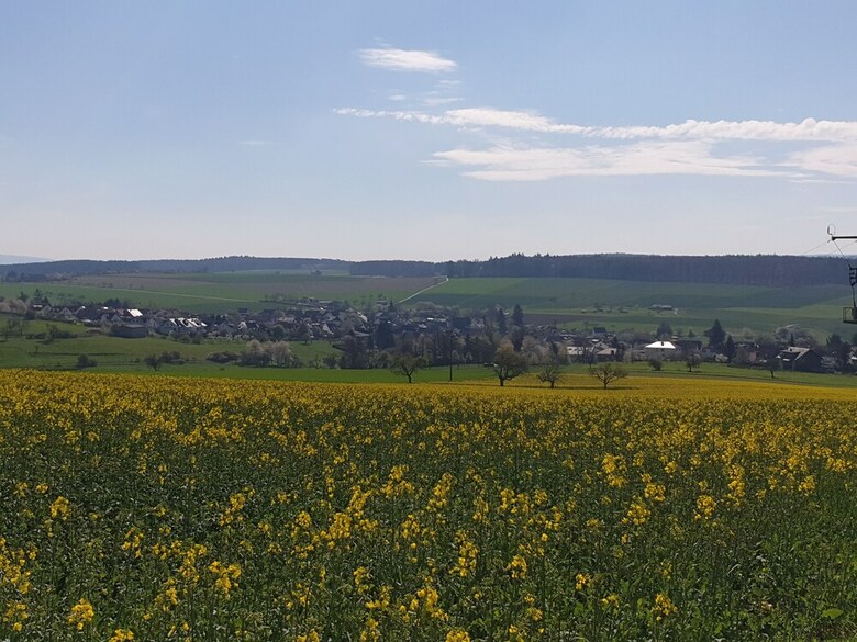 Hotel Pension Zum Adler