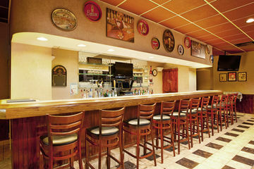 Hotel Holiday Inn Downtown Chicago