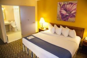 Hotel Holiday Inn Downtown Chicago