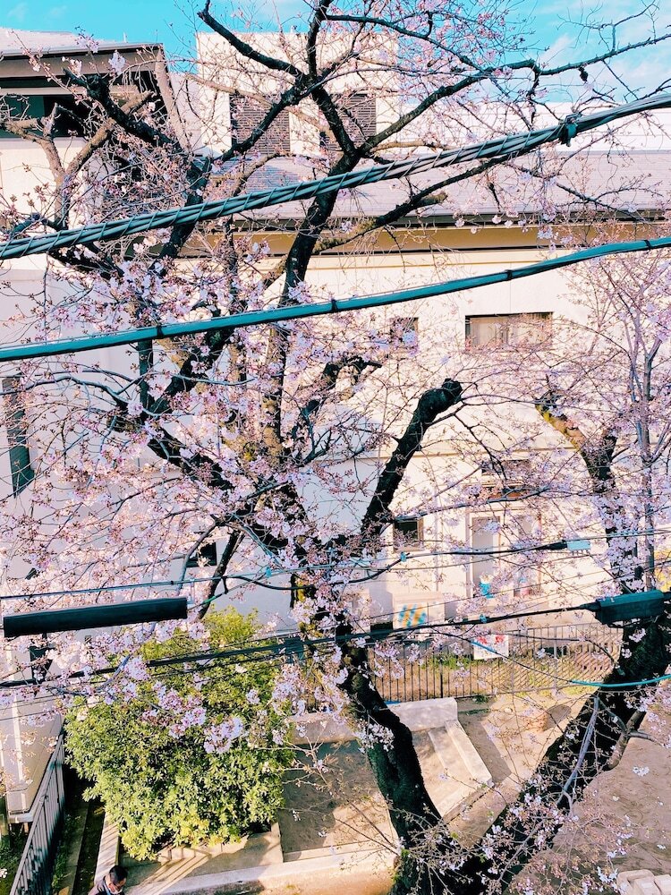 Apartamentos Kaike Sendagaya