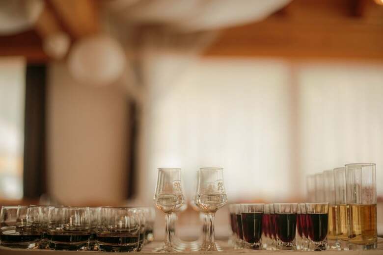 Hotel Guesthouse Vodnik