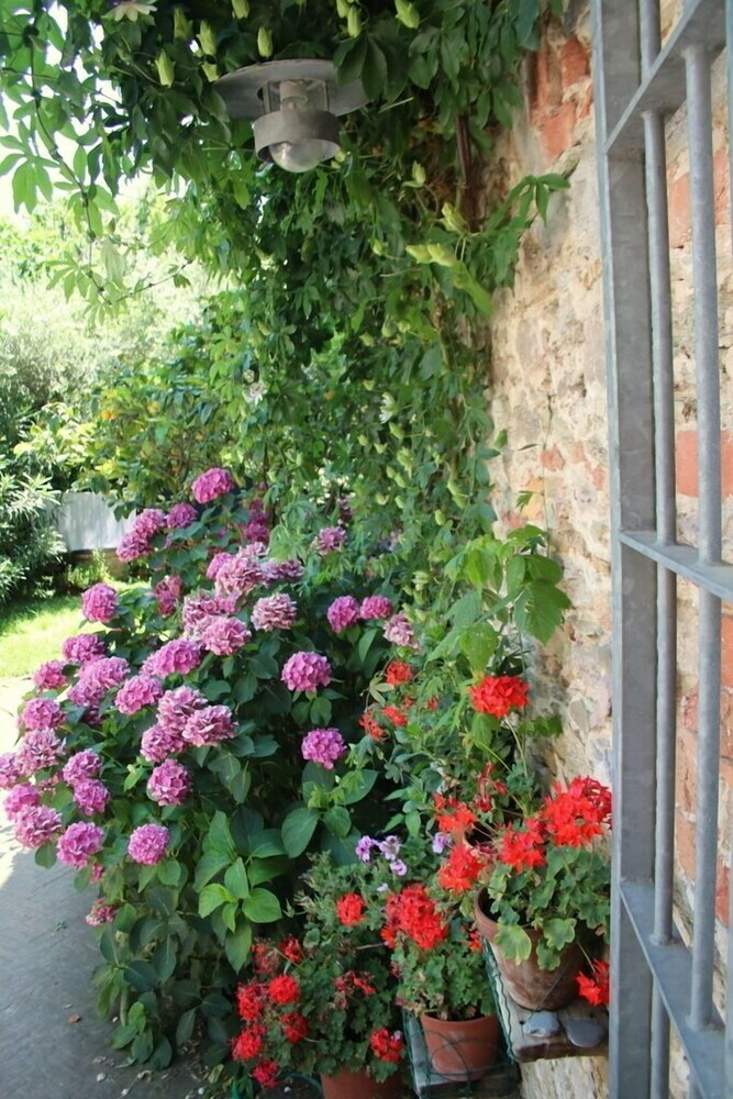 Villa Clematis