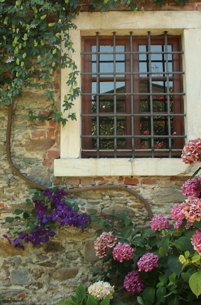 Villa Clematis