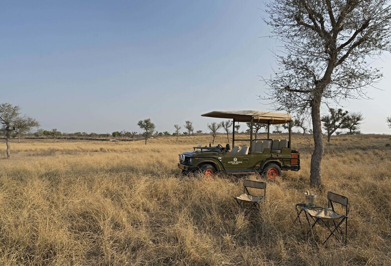 Alsisar Mahal - A Heritage Hotel