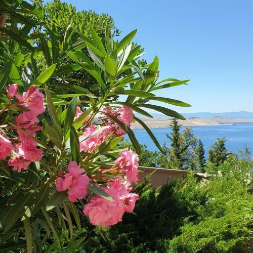 Apartments Villa Antonia