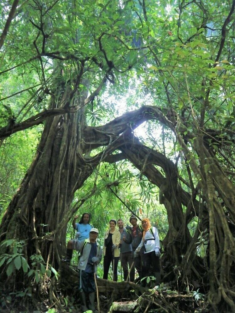 Sang Giri Mountain Glamping Bali