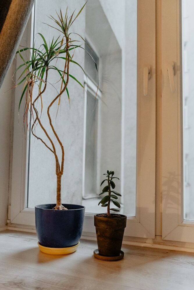 Apartamentos Warsaw Concierge Loft Chmielna
