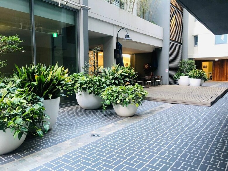 Apartamento 1bed 1study Apt With City View &new Year Firework