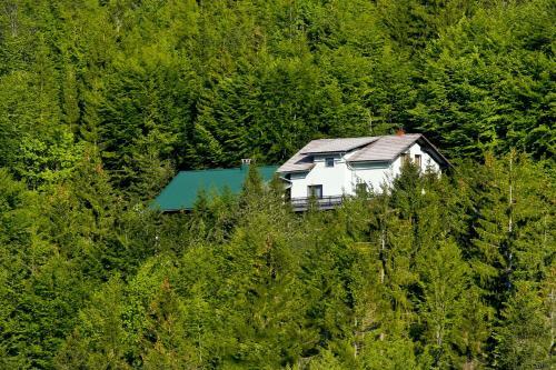 Holiday Home Kozji Vrh