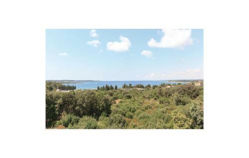 Apartment Pula Puntizela II
