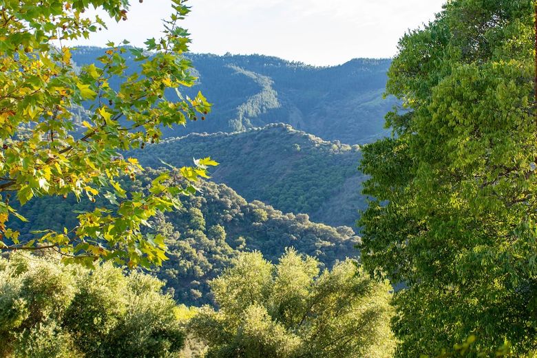 Apartamento Secret Garden Retreats