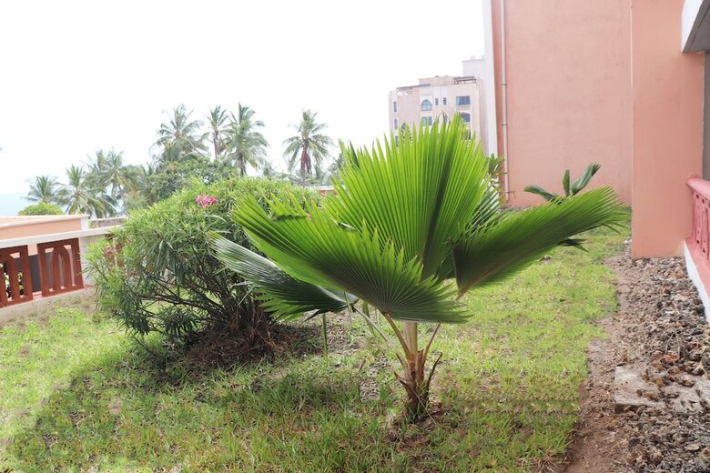 Ocean View Apartments