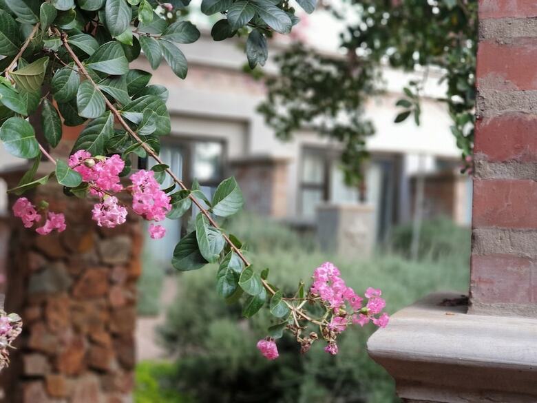 Hotel Maison de Leo Luxury Guesthouse