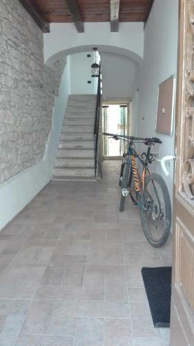 City Apartment Goga