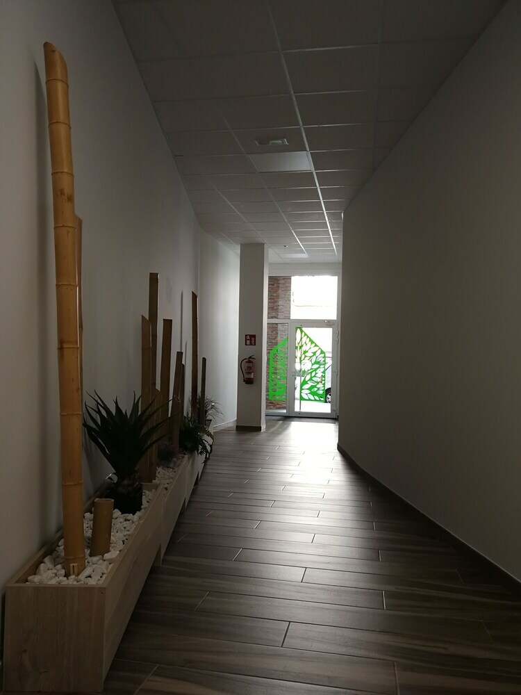 Apartamentos Antares S.l.