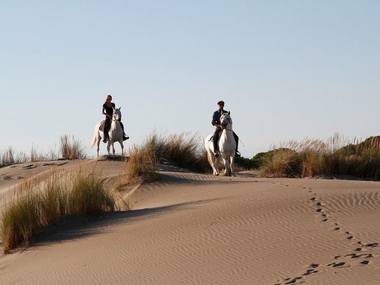 Camping Abri De Camargue
