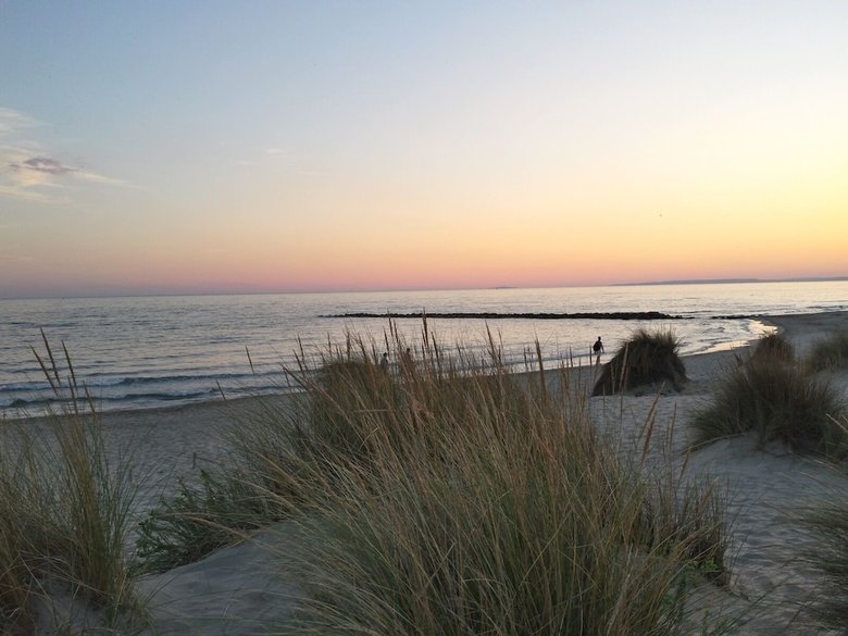 Camping Abri De Camargue