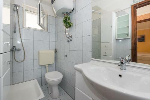 Apartment Drenje 1