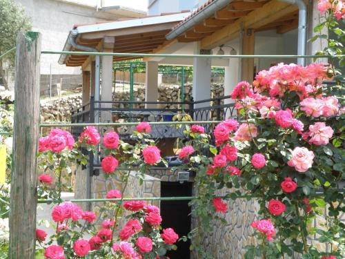 Apartamentos Villa Roze
