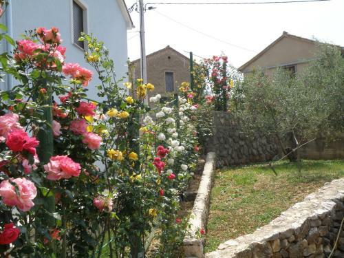 Apartamentos Villa Roze