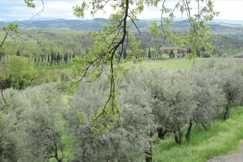 Agroturismo Tenuta San Vito