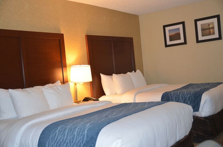Hotel Comfort Inn & Suites Downtown Vancouver