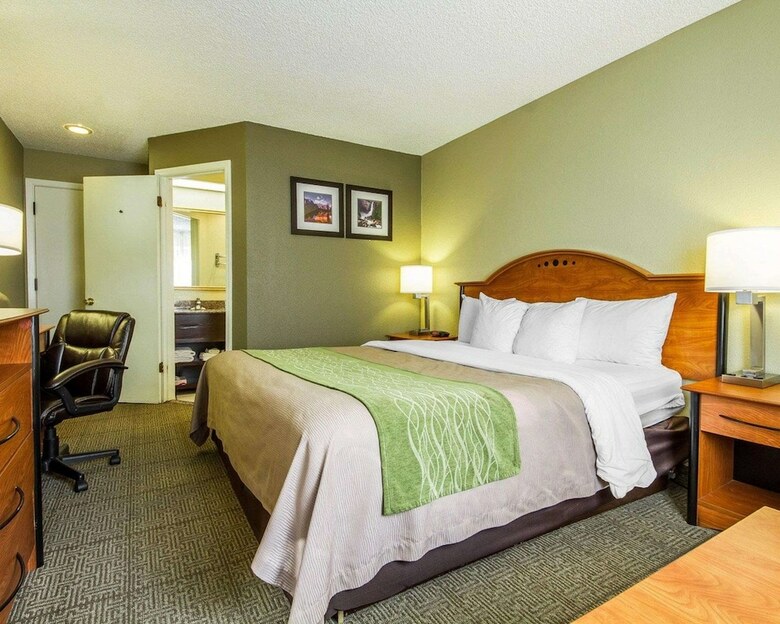 Hotel Comfort Inn Modesto