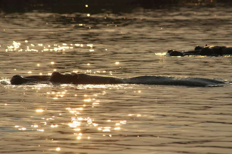 Ndhovu Safari Lodge - Campground