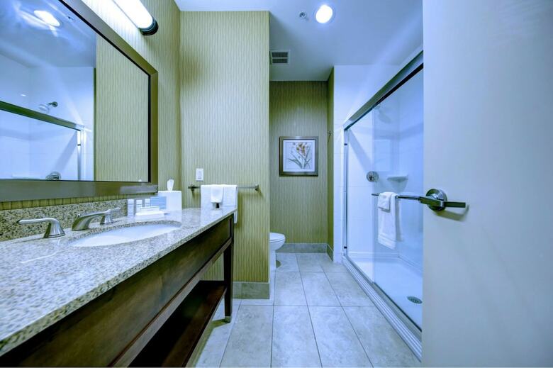 Hotel Hampton Inn & Suites Harrisburg/north, Pa