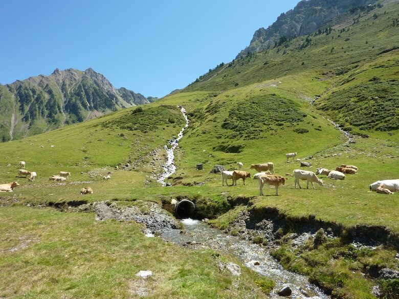 Residencia R�sidence Pic Du Midi